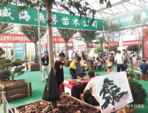 苗木展会,苗木花卉产业交流新篇章