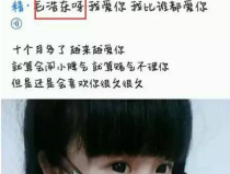 网红黑料网,网络舆论背后的真相与反思