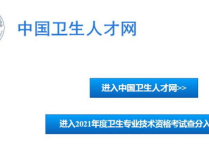 中国卫生人才官网入口,助力卫生健康人才发展新篇章