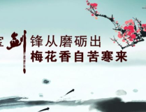 努力奋斗的诗句,奋斗铸就辉煌
